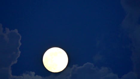 noche de luna llena 4k
