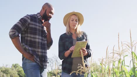 video of happy diverse female and male with tablet in field on sunny day