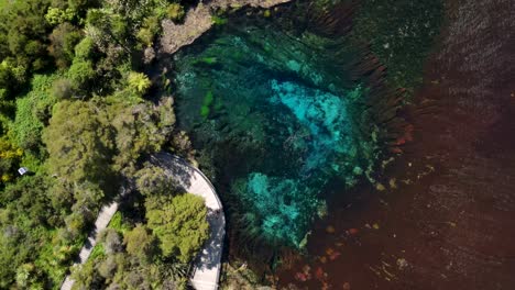 vista aérea de los manantiales de te waikoropupu con agua burbujeante y cristalina en golden bay, nueva zelanda