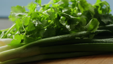 fresh coriander and green onions