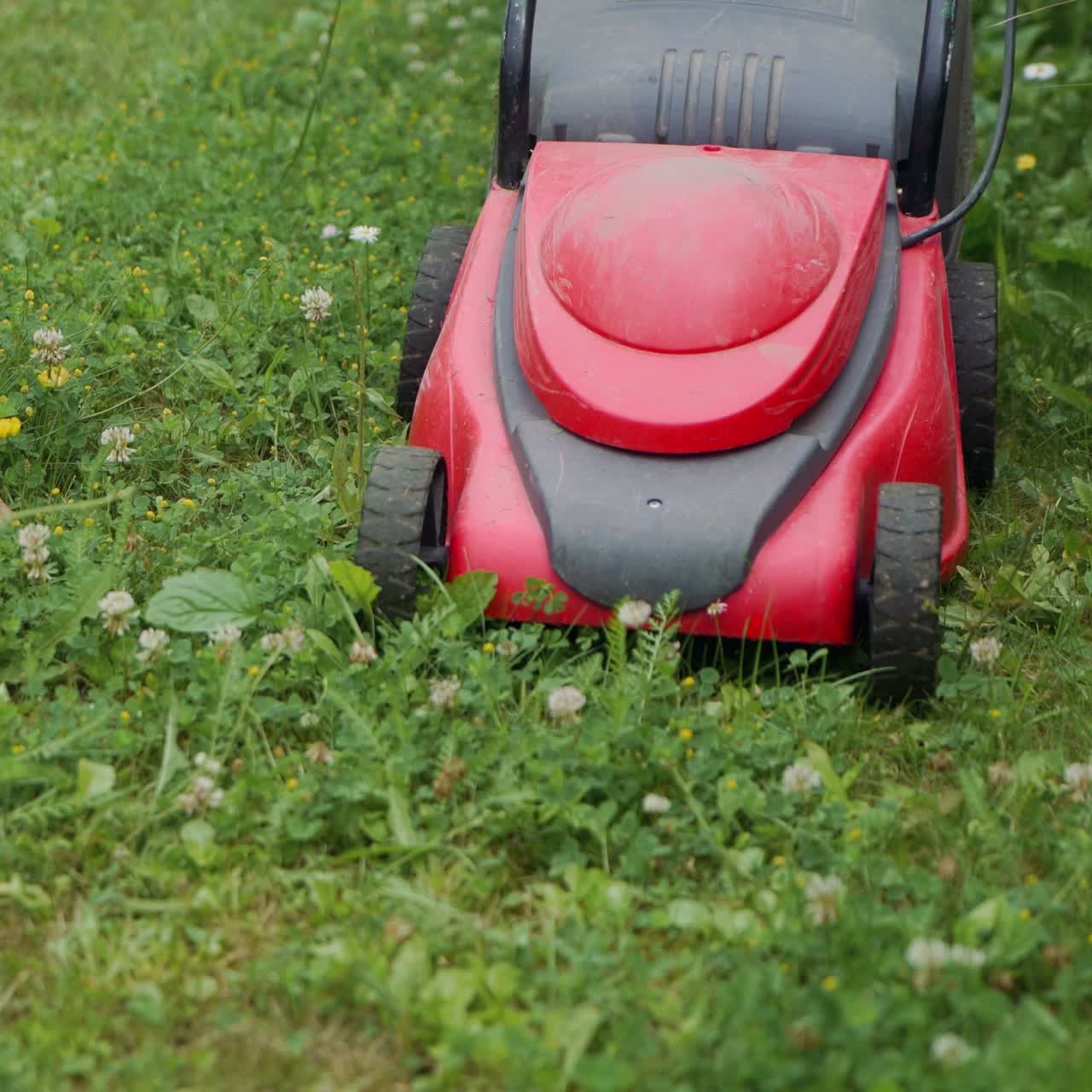 a woman is mowing grass and weeds with a lawn mower near a fence in the yard