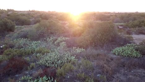 Flying-forward-through-deserted-empty-California-land,-towards-a-sunset