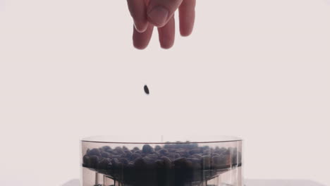 hand dropping coffee beans in electric grinder container against white background