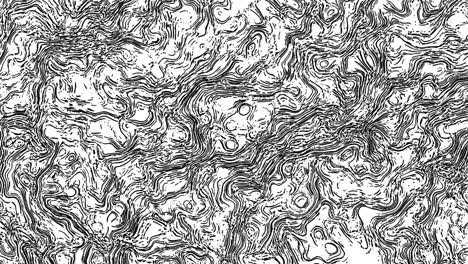 textura fluida animada de líneas giratorias