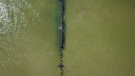 Aerial-birdseye-view-of-Baltic-sea-coast-on-a-sunny-day,-old-wooden-pier,-white-sand-beach-damaged-by-waves,-coastal-erosion,-climate-changes,-wide-angle-drone-shot-moving-forward