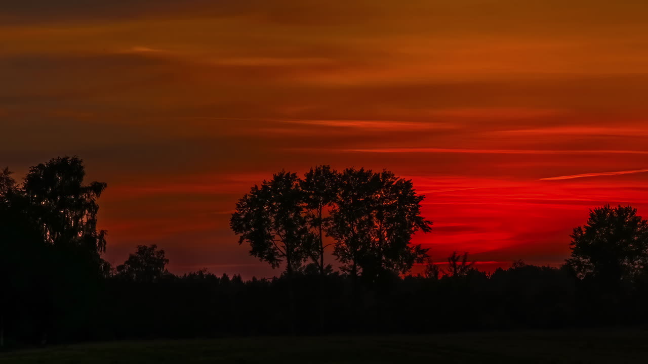 주황색 하늘이 어두워지는 아름다운 가을날 숲 나무 뒤에 있는 노란색 일몰의 저속 촬영