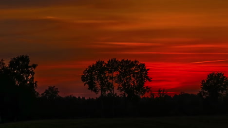 Tiro-De-Lapso-De-Tiempo-De-La-Puesta-De-Sol-Amarilla-Detrás-De-Los-árboles-Del-Bosque-Durante-El-Hermoso-Día-De-Otoño-Con-El-Cielo-De-Color-Naranja-Oscureciendo