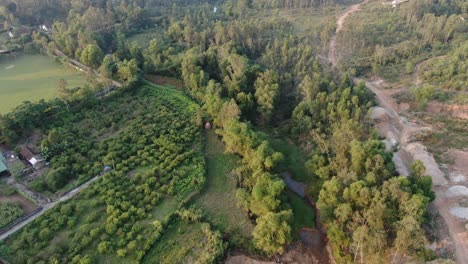 Aerial-view-of-mountain-and-flying-forward-above-the-green-trees-and-plants