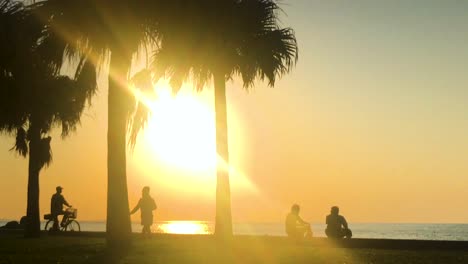 Time-Lapse-of-Palm-tree-and-people-near-the-beach