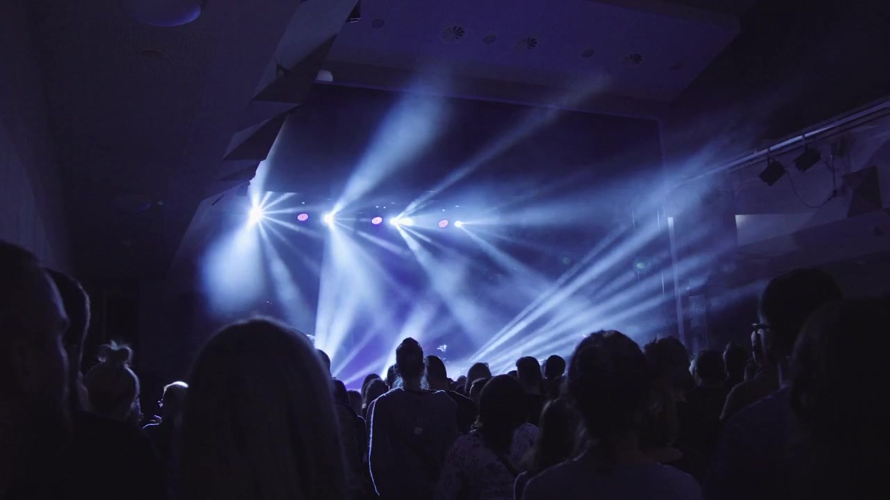 pubblico al concerto