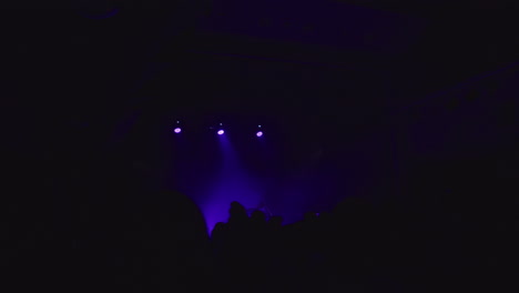 audiance at concert