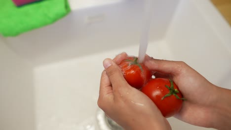 washing tomatoes under running water