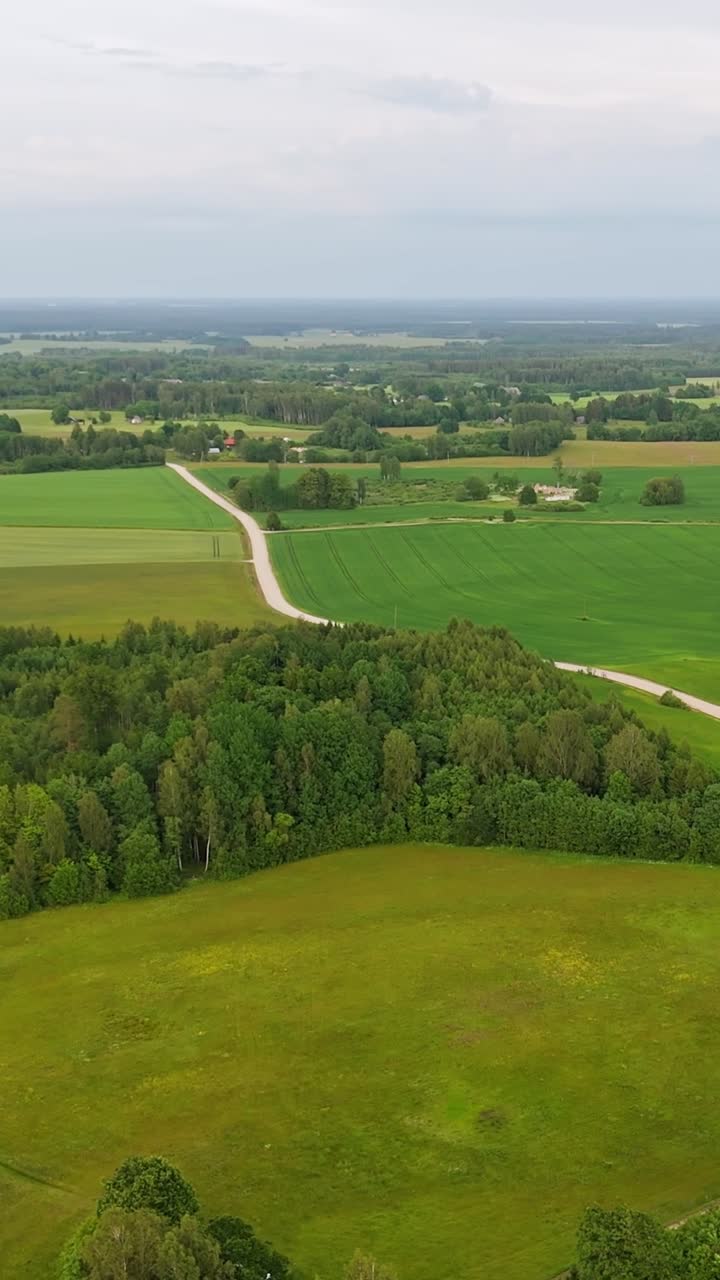 Panoramic View: Rural Latvia with Dirt Road Winding Through Fields