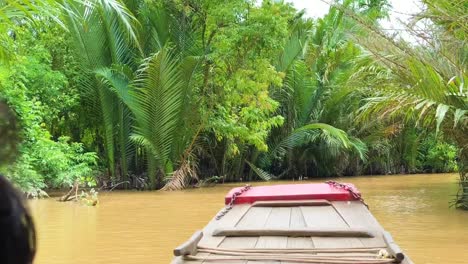 paseo en barco por el delta del mekong