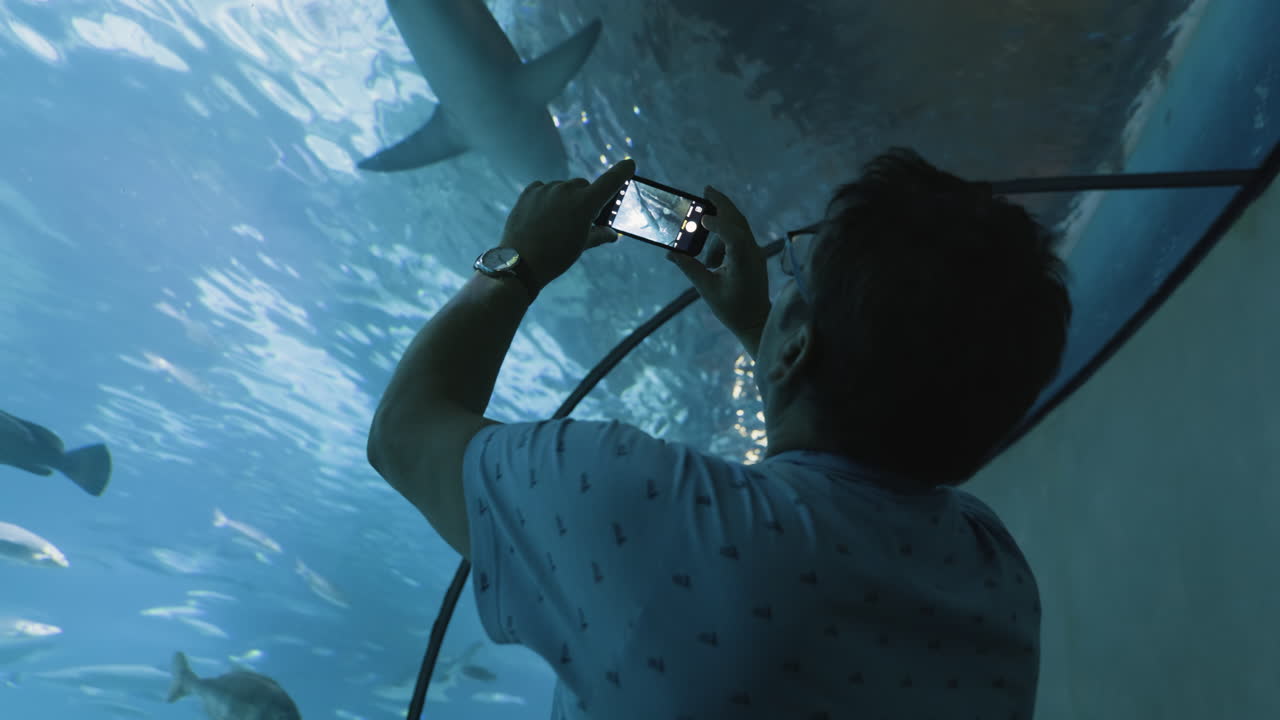 Man taking photo of sharks in an aquarium