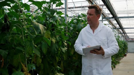 scientist writing on the clipboard in the greenhouse 4k