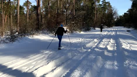 Touristen-Fahren-An-Einem-Sonnigen-Tag-Auf-Der-Piste-Mitten-Im-Wald-Ski