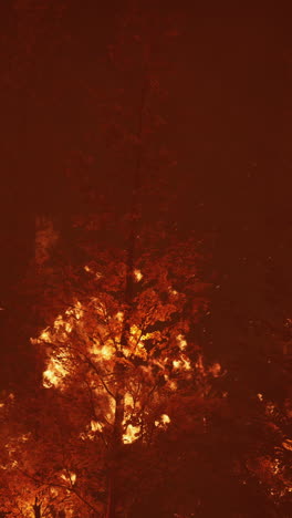 forest fire burning at night