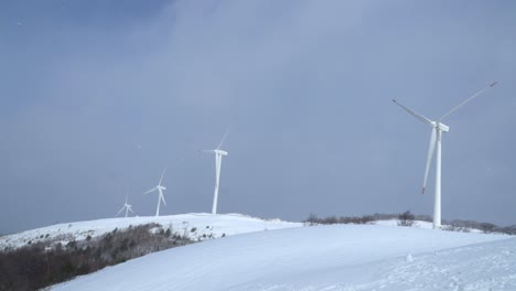 wind turbines are moving and generating electricity in the snow-covered ranch, south korea