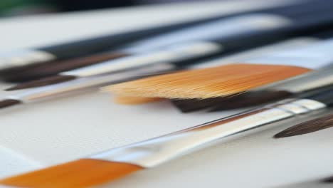 closeup of paint brushes on canvas