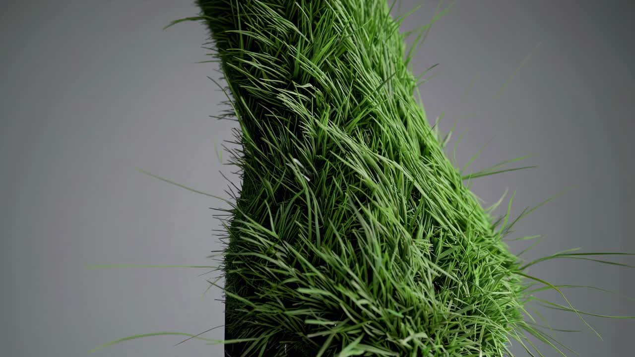 잔디로 인 로 손