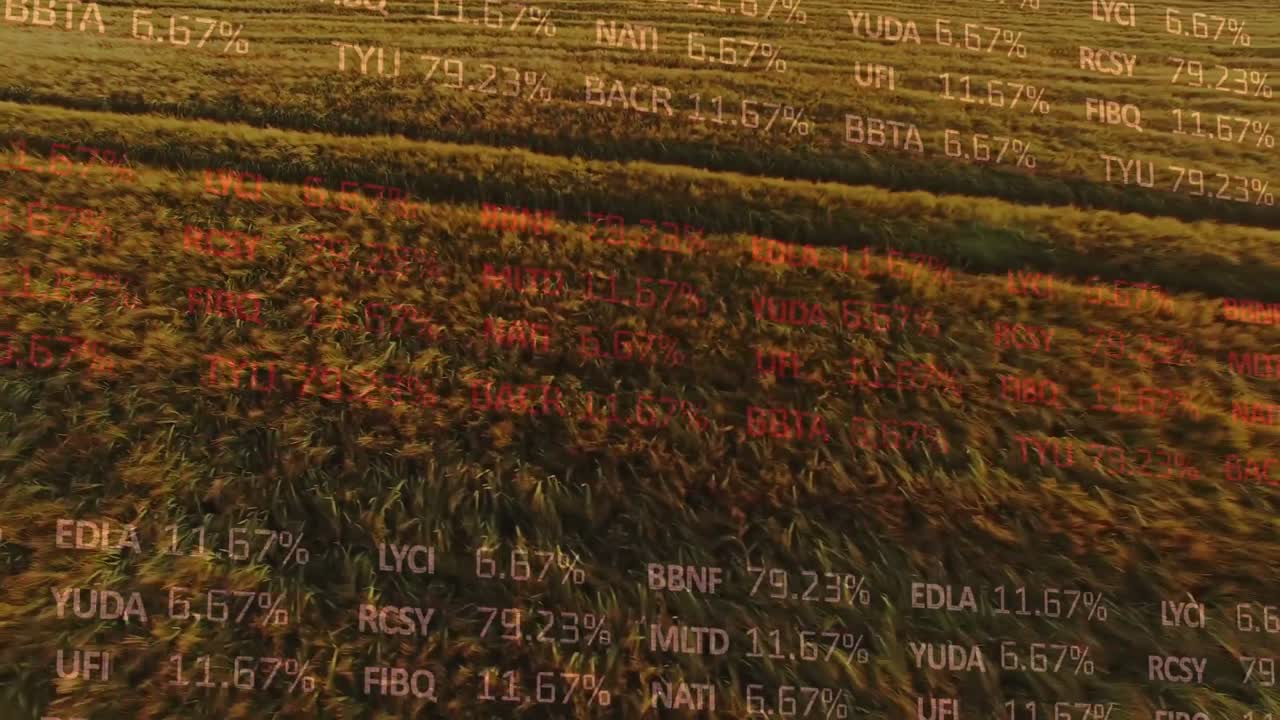 Animation of financial data processing over agriculture field
