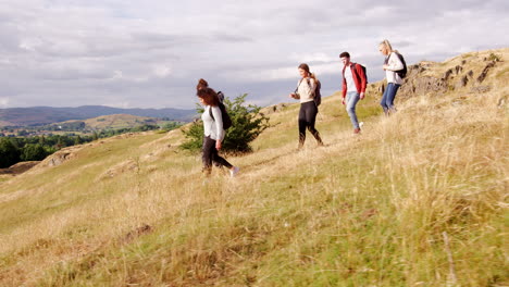 un grupo multiétnico de amigos adultos jóvenes sonrientes se ayudan mutuamente mientras caminan cuesta abajo en un campo durante una caminata por la montaña