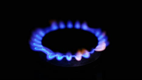 the flames of a domestic gas ring burner against black