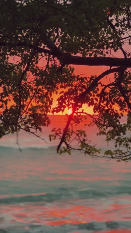 peaceful sunset casts warm colors over the ocean waves, framed by the dark silhouette of tree branches and leaves.