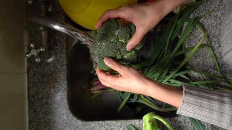 Vertical-Shot-Of-A-Person-Washing-Broccoli-Vegetables-In-The-Kitchen-Sink