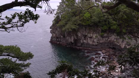 Felsklippen-Und-Felsen-Zwischen-Den-Bäumen-An-Der-Jurassischen-Jogasaki-Küste-In-Japan