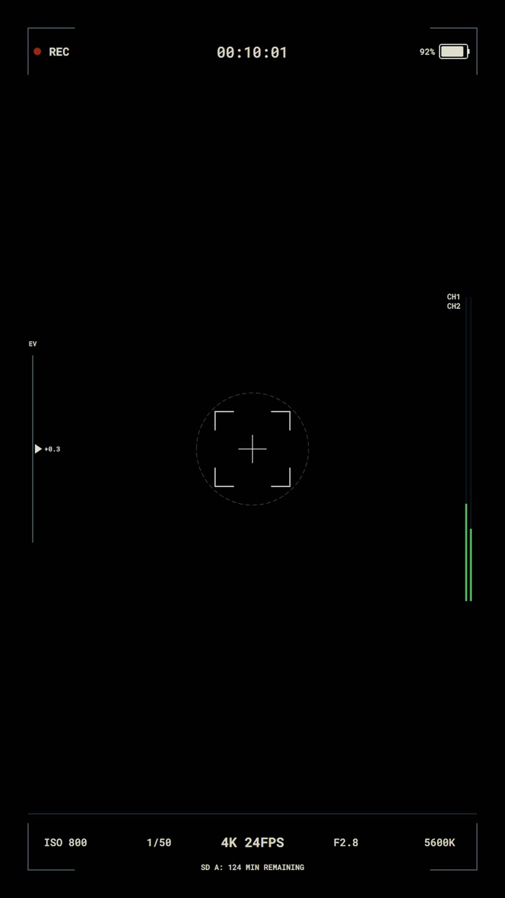 Digital Camera Viewfinder Overlay with Recording Interface