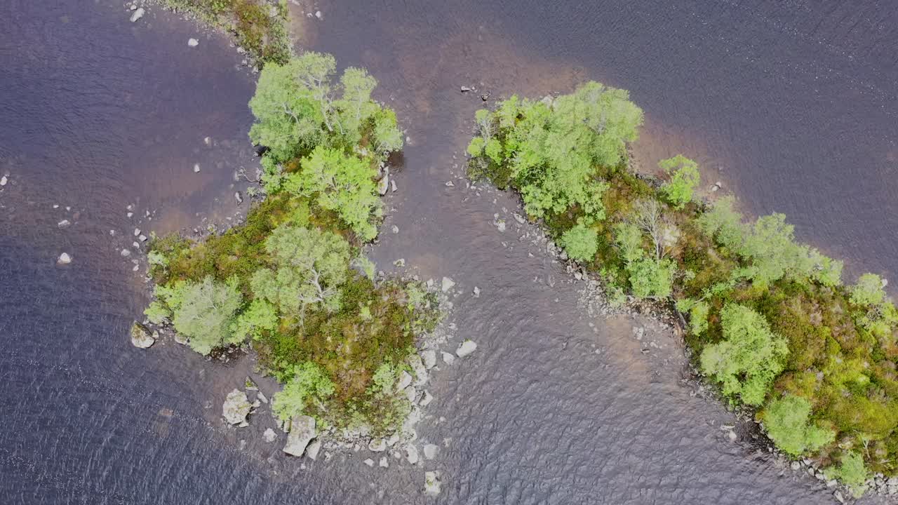 wooded islands on loch, Rannoch Moor, Highlands, Scotland, aerial, top down