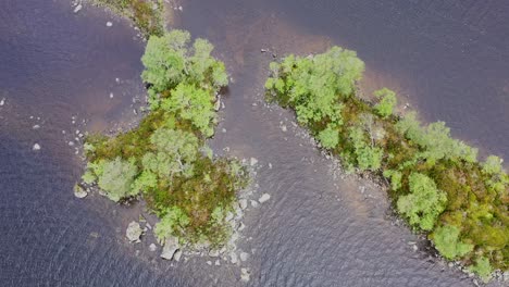 wooded islands on loch, rannoch moor, highlands, scotland, aerial, top down