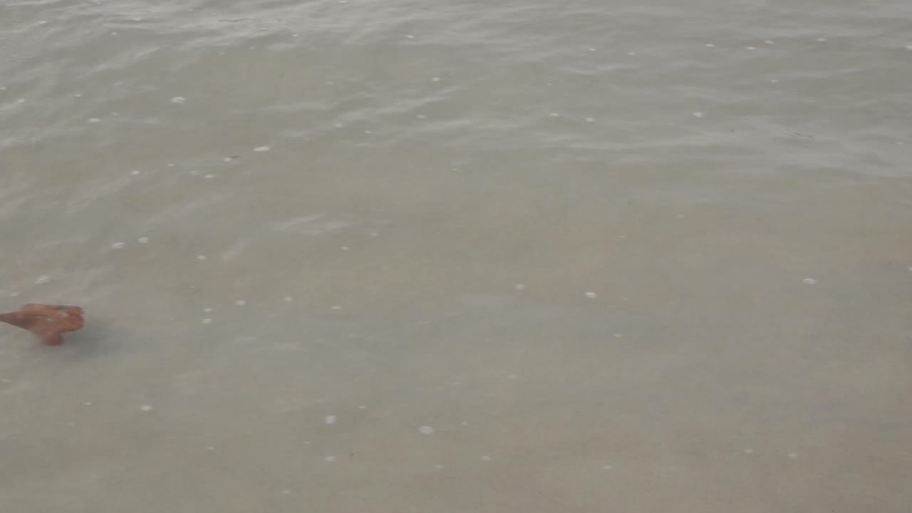 las olas de agua de mar turquesa golpean la playa suave de arena blanca durante el día, el paisaje natural del mar para las vacaciones de verano de fondo