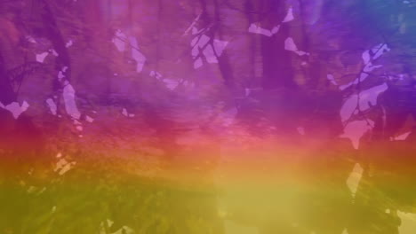 animación de luz colorida sobre el bosque y las hojas