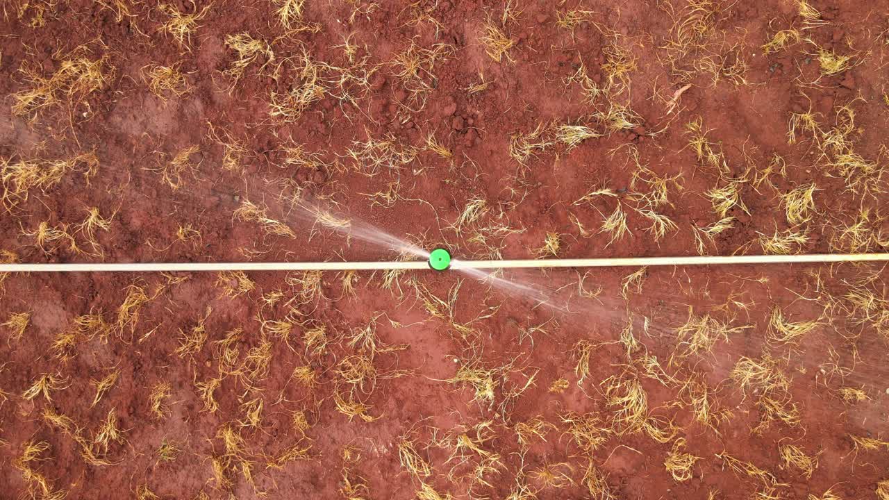 Sprinkler irrigation system watering dry grass with straw