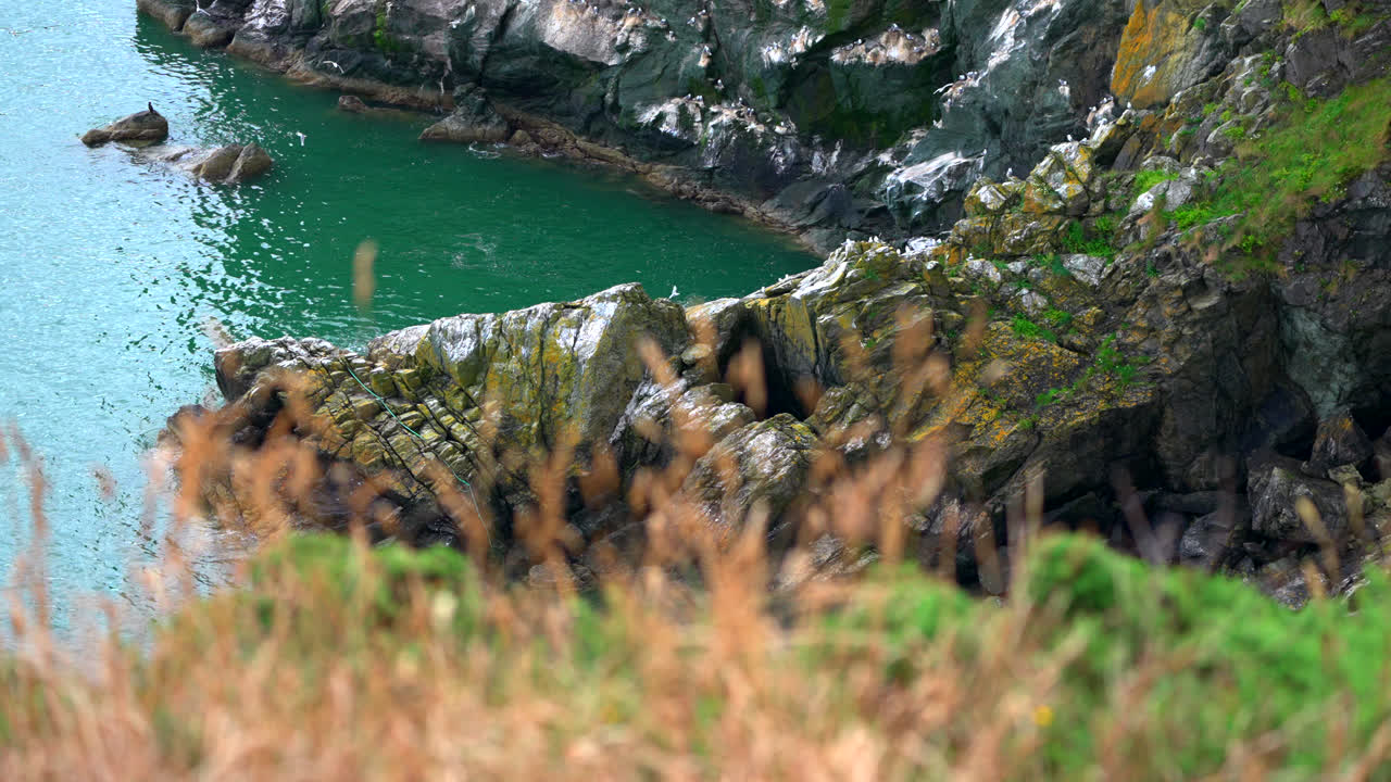 Waves crash against the rocky shore of Howth Peninsula while birds circle above the cliffs. The dramatic coastal landscape highlights the raw, natural beauty of this iconic Irish seaside location.
