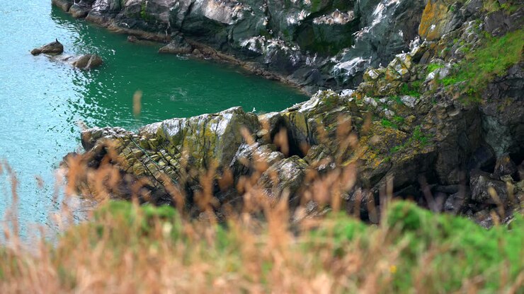 Waves crash against the rocky shore of Howth Peninsula while birds circle above the cliffs. The dramatic coastal landscape highlights the raw, natural beauty of this iconic Irish seaside location.