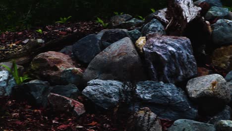 a slow pan of a peaceful and beautiful zen garden