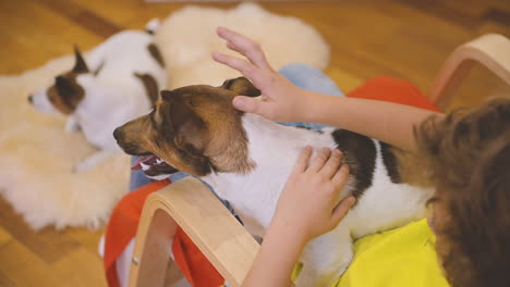 top view of blond boy sitting on the chair while swinging with his dog and caresses him 1