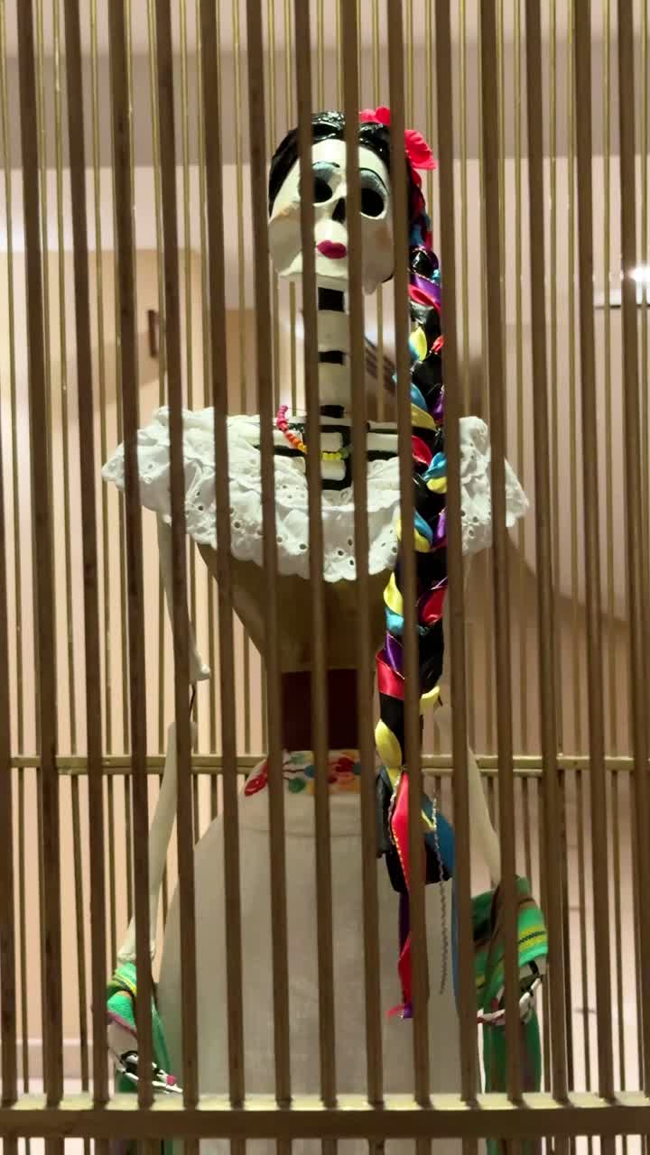 Skeleton Woman in Traditional Dress at Day of the Dead decorations, vertical shot