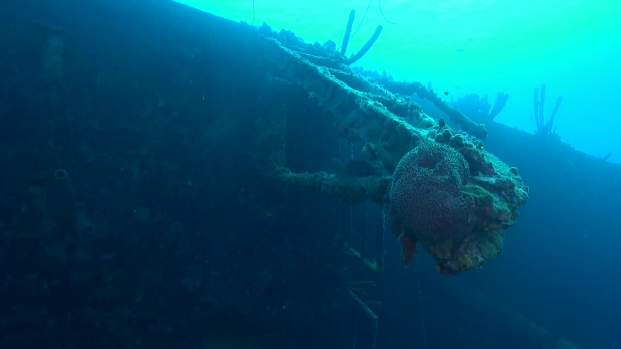 grúa de babor hilma hooker