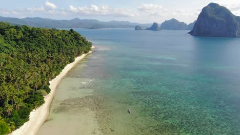 playa virgen con selva y arrecife visible