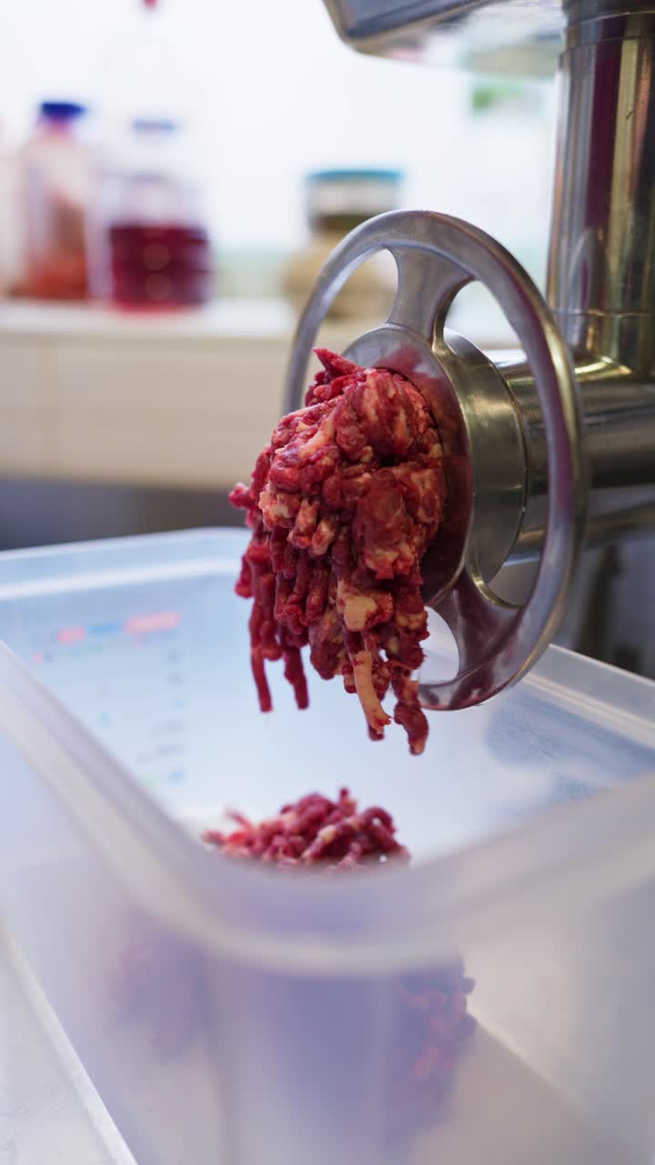 Raw Meat Being Ground in a Commercial Meat Grinder