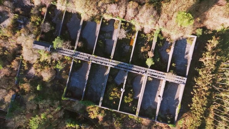 Remains Of Abandoned Structure Amidst Forest Trees In Fontecova, A Gandriña, A Coruña, Spain. Aerial Shot