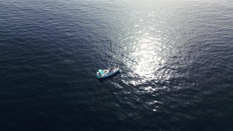 sailboat floats in the sea near pilot whales, blue water, summer, drone, tenerife