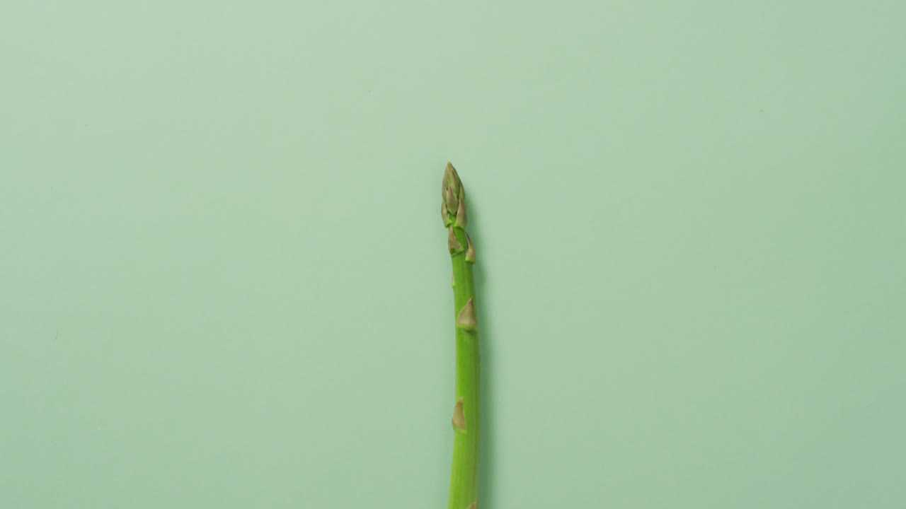 video de espárragos frescos con espacio de copia sobre fondo verde
