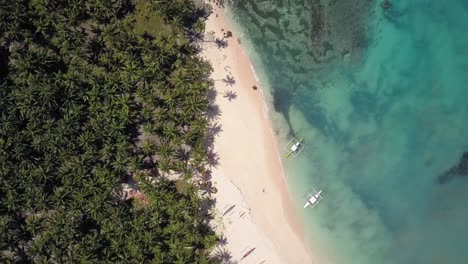 Aerial-pedestal-up-from-gorgeous-beach-with-palm-trees-and-clear-waters-on-Siargao,-the-Philippines