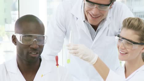 three chemists busy with scientific research